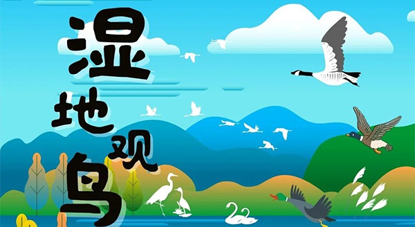 【獨立觀鳥一日營】走進白馬湖濕地，一起來探尋鳥兒的秘密